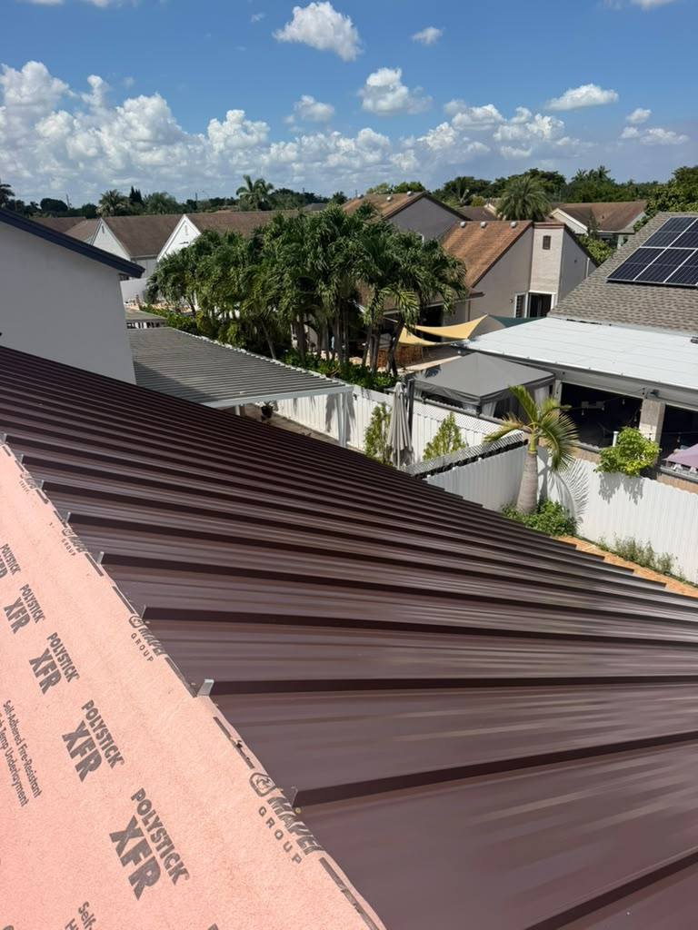 Roof Painting